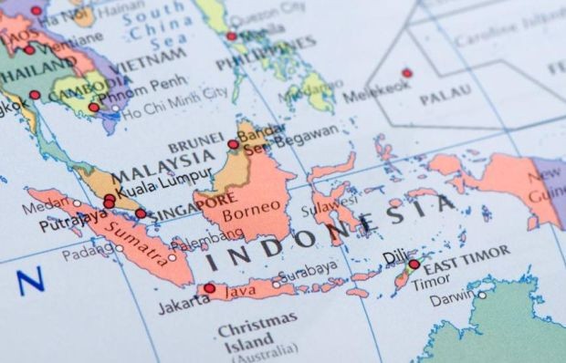 Индонезия обмисля да кандидатства за членство в БРИКС
