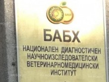 БАБХ извърши 276 извънредни проверки в зимните курорти
