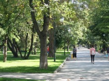 Младеж откаран в лудницата, нападна служител на "Общинска охрана" в Пловдив