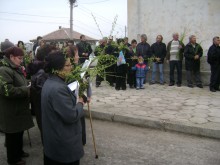 И католиците празнуват Връбница