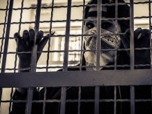 ������������ ������ ��������� �� ������ �� ������� ������ ������ �� ��������