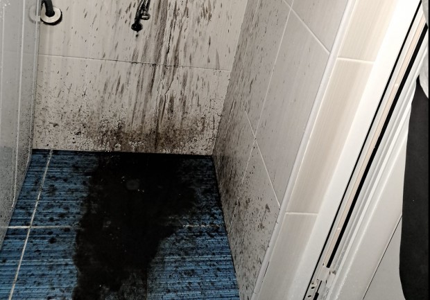 Ужас в пловдивско село!