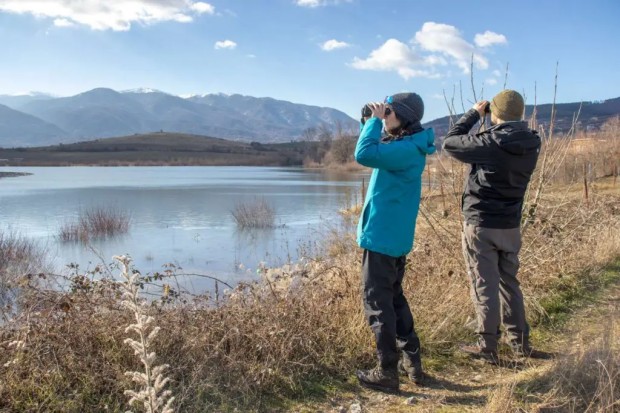 40 души ще броят зимуващите водолюбиви птици в Бургаския регион