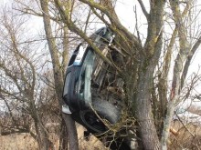 БМВ излетя от пътя и "кацна" върху дърво