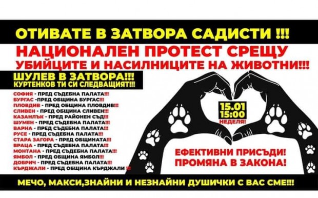 Протест срещу насилието на животни ще се проведе във Варна