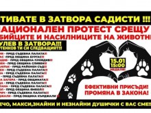 Протест срещу насилието на животни ще се проведе във Варна