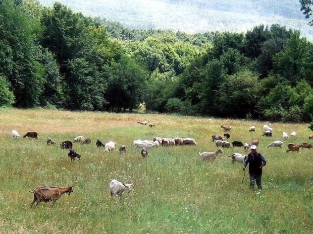 Български Фермерски съюз напълно подкрепя инициативата да бъде създадена нормативна