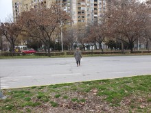 А Вие, лельо, накъде така?