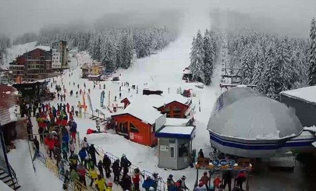 Любители на ски спорта спускането планината и снега окупираха Пампорово