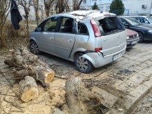 19-годишен пловдивчанин с 18 провинения на пътя помете 2 автомобила. Пострадалият: "Господ да ни е на помощ!"