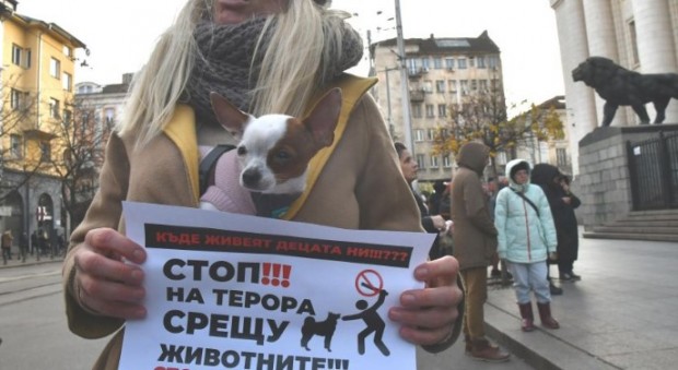 В София и други градове на страната ще се проведат