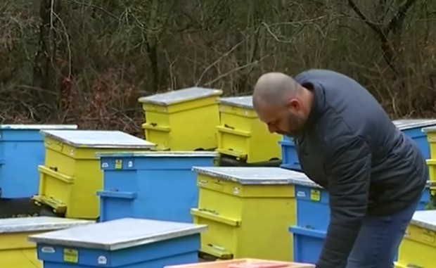 Все повече пчелари у нас се налага да разпродават бизнеса