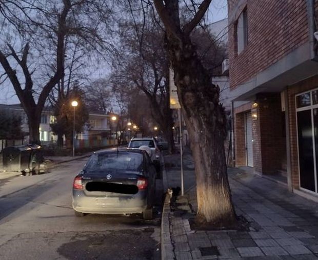 TD Пловдивчанка сигнализира за проблем свързан с невидимите знаци на Пловдив