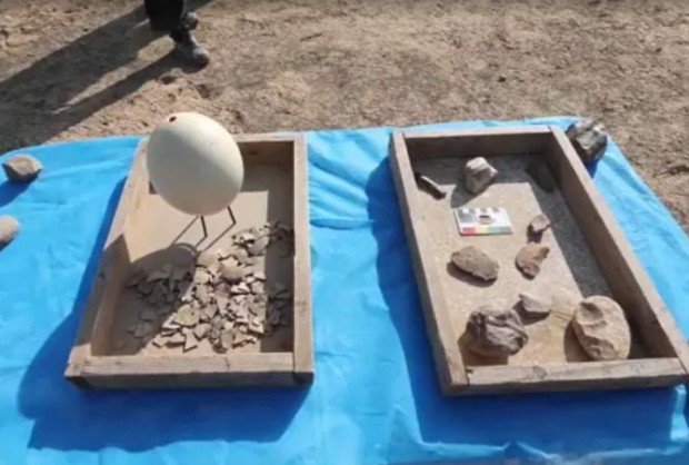 Археолози откриха щраусови яйца, за които се смята, че са на възраст