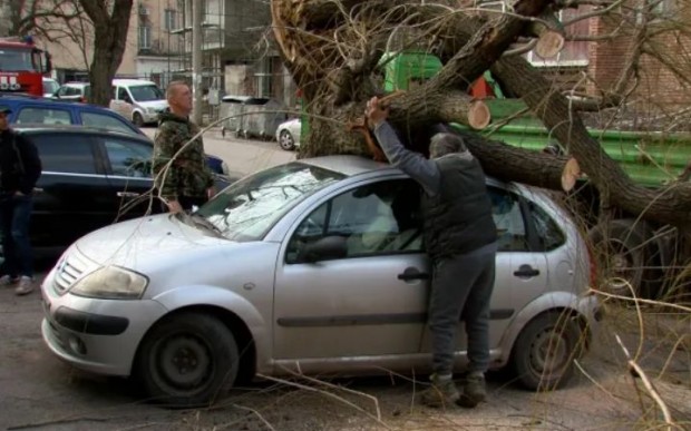 Силна буря нанесе материални щети във Враца  Мощните пориви на вятъра