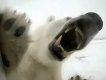 ���� ����� ��� ���� � �����