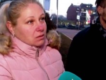 Десетки кучета са отровени в Павел Баня