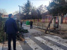 Няма пострадали хора след вчерашния бурен вятър в Стара Загора