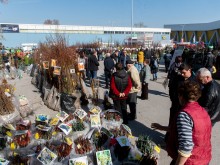 600 компании от 25 държави ще участват в най-голямото изложение за агробизнес