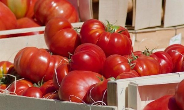 България е третият вносител на турски домати в света, сочат данните на Асоциацията
