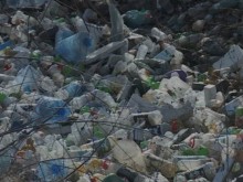 Деца играят между останките на умрели животни, строителни отпадъци и боклуци в Ихтиман