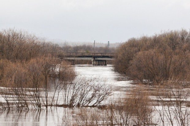Временно е ограничено движението по пътя Китница - Русалско заради разлив на река Арда