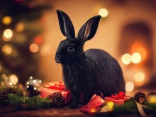 ��� ����� ������� � �������� �� ������ ����
