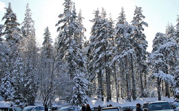 Понижение на температурите и валежи, на места и от сняг, през следващата седмица