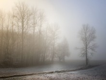 Мъгла намалява видимостта в района на Каварна и Балчик