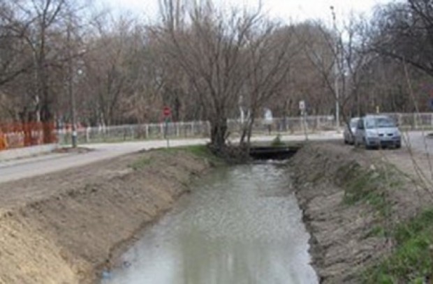 Стартира повсеместна дератизация на канални шахти и дерета във Варна Дератизацията