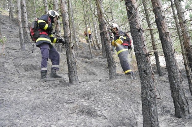 Близо 4 000 декара са изгорели в Североизточна България за 2022 година