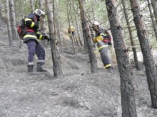 Близо 4 000 декара са изгорели в Североизточна България за 2022 година