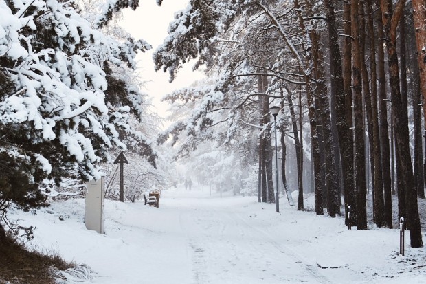 Сняг превалява почти над цялата област Добрич, пътува се при усложнени зимни условия