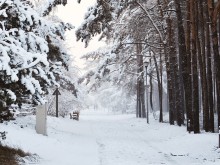 Сняг превалява почти над цялата област Добрич, пътува се при усложнени зимни условия