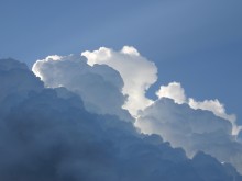 ���� �� �� ������� �������� �������