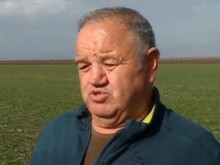 Земеделец от Пловдивско: Имам планина от слънчоглед в склада, но не мога да продавам заради вноса от Украйна