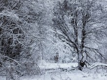 Силен вятър и валежи от сняг ни очакват утре