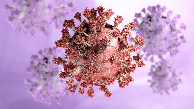 91 са новите случаи на коронавирус у нас Направени са 4