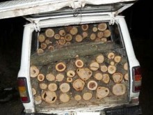 Румънци се опитаха да изнесат незаконно 1.5 куб.м дърва за огрев