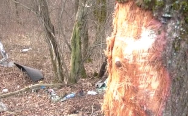 Тежка катастрофа с две жертви на пътя край Враца Пътният