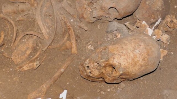 Удължен череп на жена изчезна от археологически разкопки в Стара Загора
