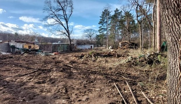 Кметът на район "Средец" даде обяснение за отсечените дървета