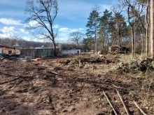 Кметът на район "Средец" даде обяснение за отсечените дървета