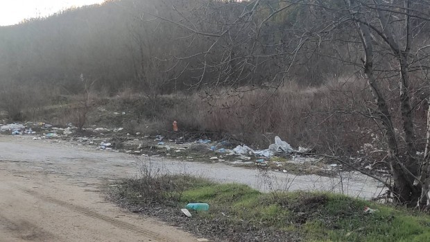 Пластмасови бутилки замърсяват участъци от Подбалканския път
