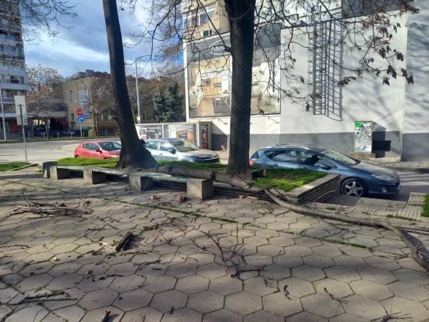 TD Читатели на Plovdiv24 bg изпратиха снимки на които се вижда как