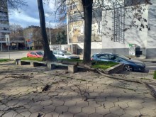 На косъм от голяма трагедия в центъра на Пловдив