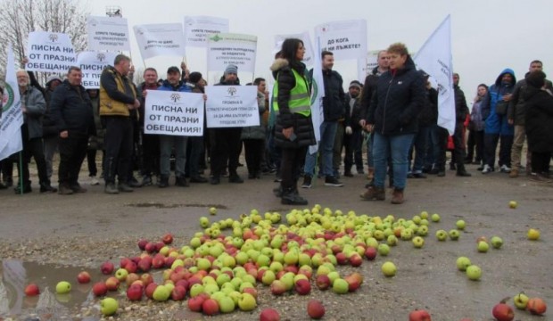 Представители на браншови организации в сектор Плодове и зеленчуци  затвориха за
