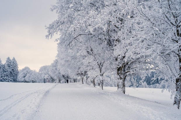 Къде в страната е най-дебела снежната покривка?