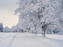 Къде в страната е най-дебела снежната покривка?