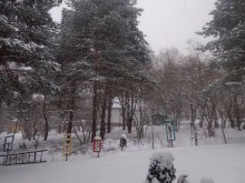 Зимна приказка с пловдивско село